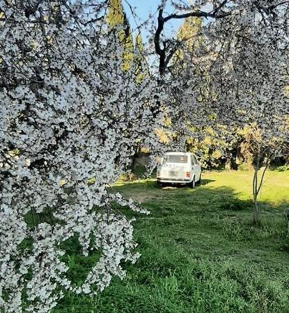 Domo Mia Bed and Breakfast Telti Εξωτερικό φωτογραφία