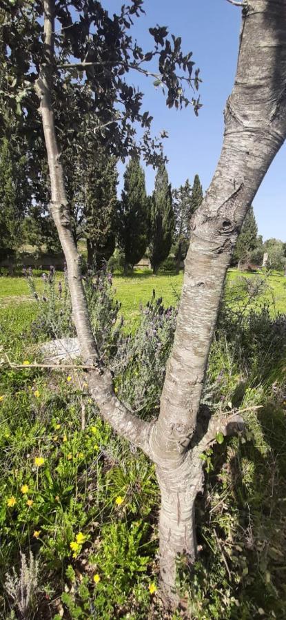 Domo Mia Bed and Breakfast Telti Εξωτερικό φωτογραφία